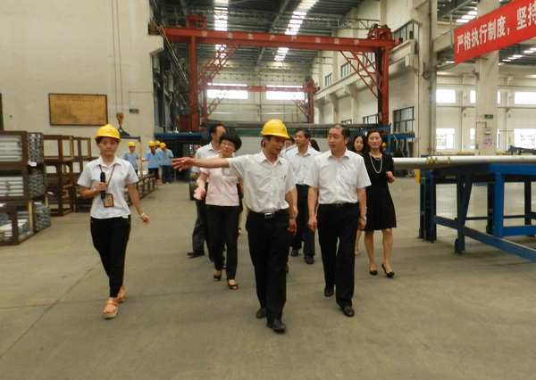 徐州市人大常委会常委张亚率团光临我公司领导工作