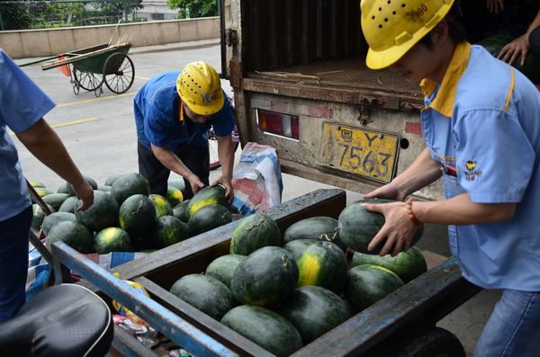 西瓜杀到，炎暑难挡