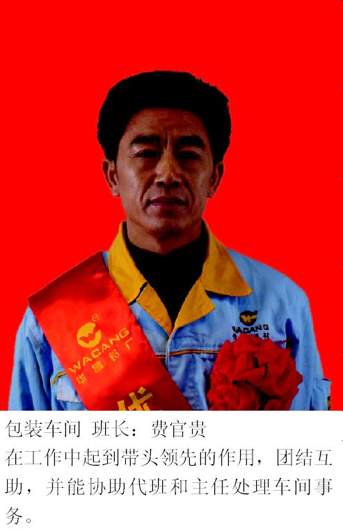 2008年度Z6人生就是博铝厂优良员工