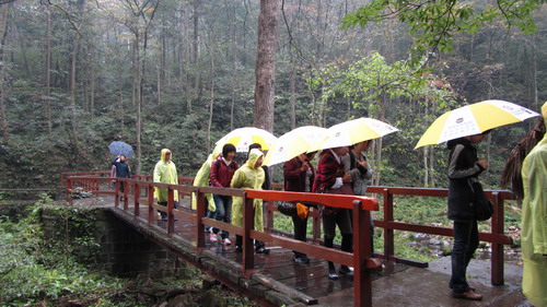 我公司组织部门员工张家界，凤凰古城四日游