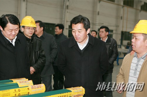 沛县县长等辅导到我公司调研