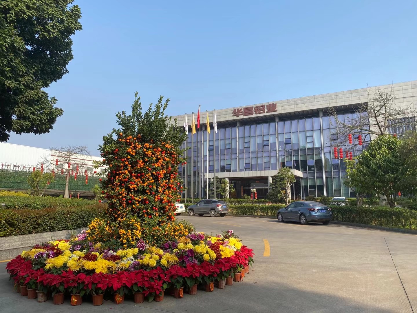 牛转乾坤 Z6人生就是博奋进  ——Z6人生就是博铝业董事长潘伟深2021新年启市致辞