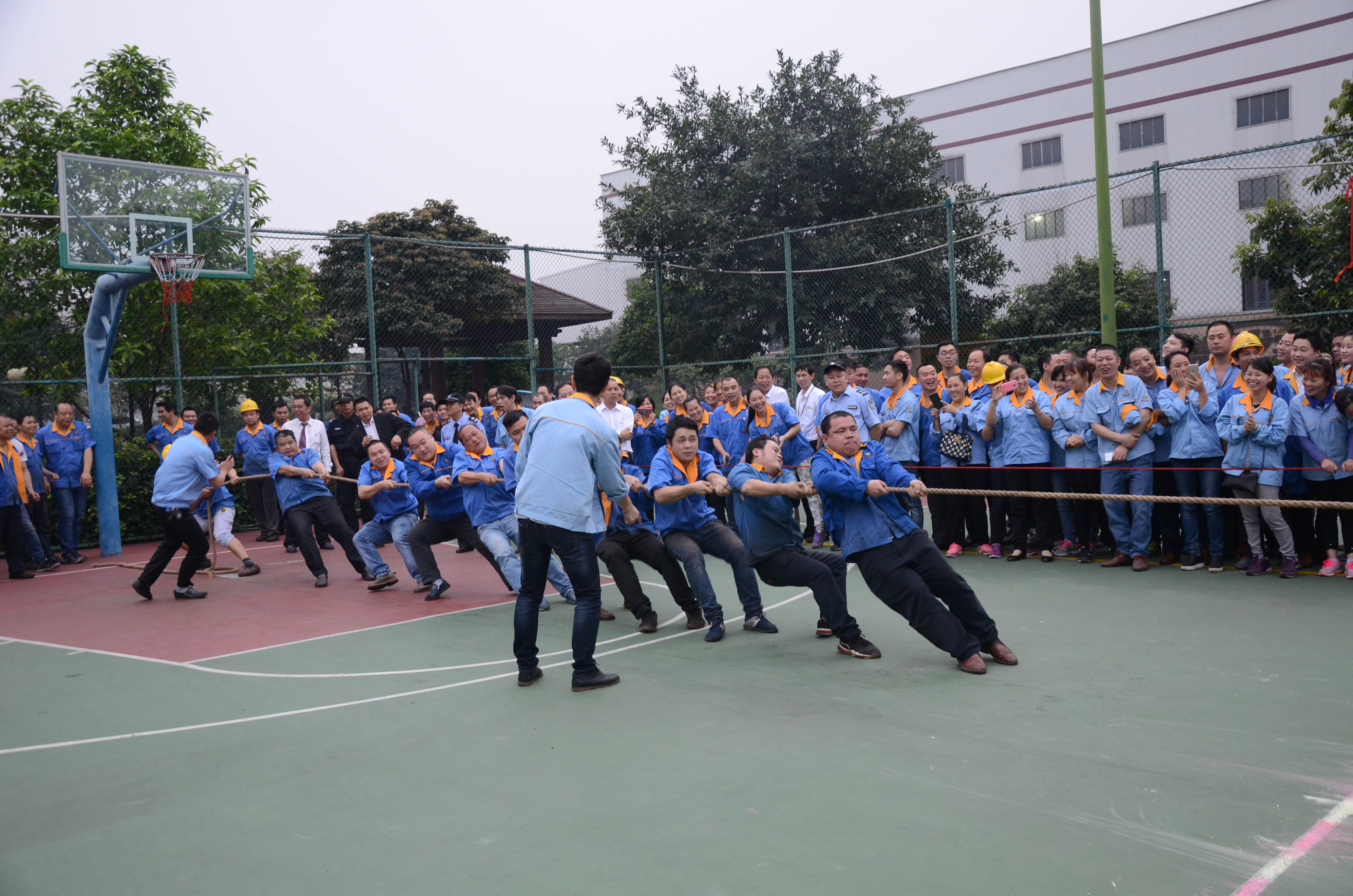 Z6·人生就是博(中国区)官方网站